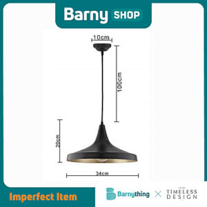 Pendant Lamp - TD-NS 2